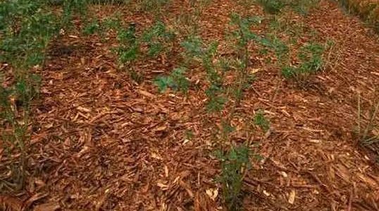 e023f476-45a5-4759-b118-5b744287a9d0 e023f476-45a5-4759-b118-5b744287a9d0