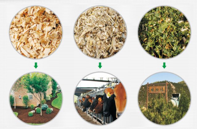 4fe66808-7bc4-4f9a-906e-b0566f0720ba 4fe66808-7bc4-4f9a-906e-b0566f0720ba