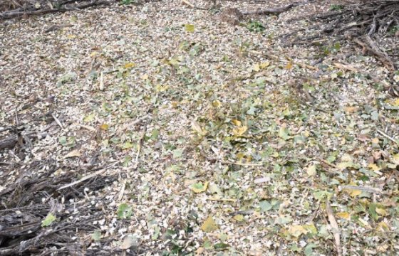 KNDMAX wood chipper for branch crushing and recycling