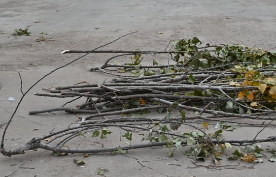 The wood chipper seems to be clogged, why?