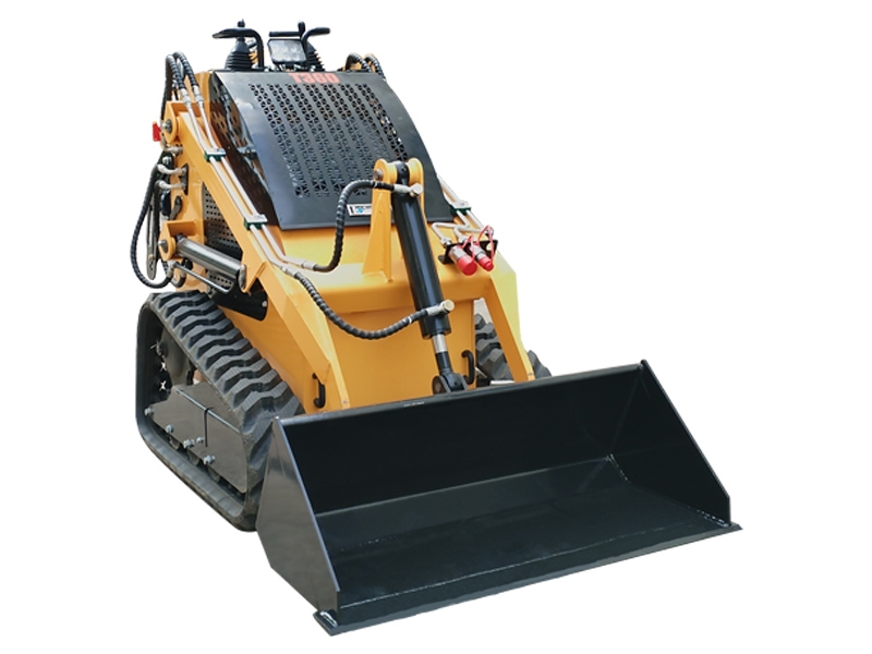 Skid Steer Loader  K-T306