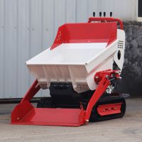 Mini Dumper