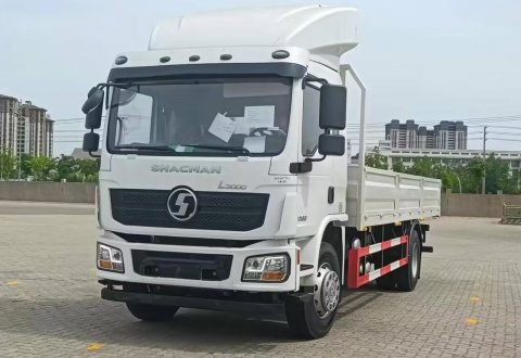 SHACMAN D-Long L3000 4x2 210hp Normal Cargo Truck